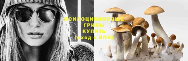 молекула духа Алексеевка
