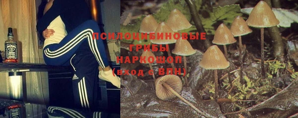 молекула духа Алексеевка