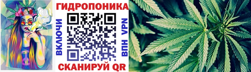 купить  сайты  Малаховка  Бошки марихуана THC 21% 